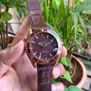 Omega Planet Ocean 600M Master Chronometer Brown